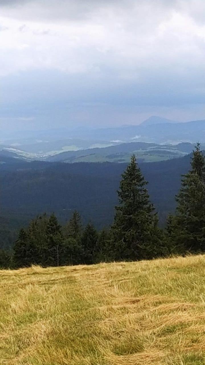 Dom Wypoczynkowy Pod Polanka Korbielów Kültér fotó